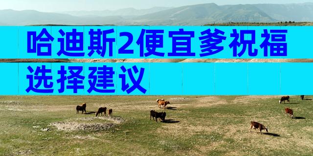 哈迪斯2便宜爹祝福选择建议