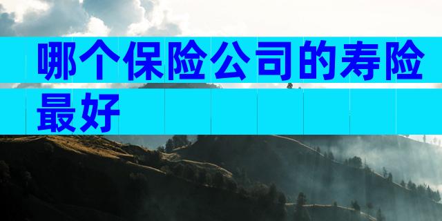 哪个保险公司的寿险最好
