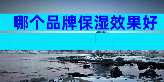 哪个品牌保湿效果好