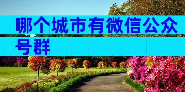 哪个城市有微信公众号群