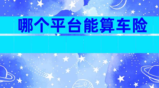 哪个平台能算车险