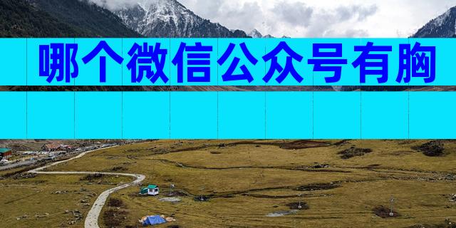 哪个微信公众号有胸