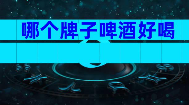 哪个牌子啤酒好喝