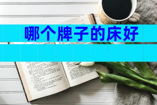 哪个牌子的床好