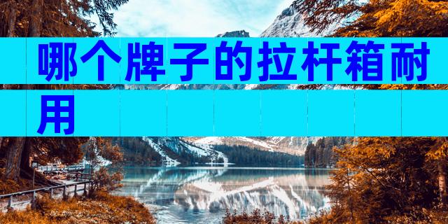 哪个牌子的拉杆箱耐用