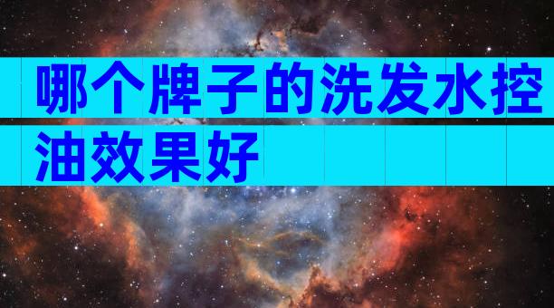 哪个牌子的洗发水控油效果好