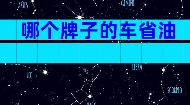 哪个牌子的车省油