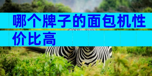 哪个牌子的面包机性价比高