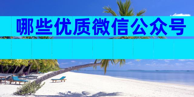 哪些优质微信公众号