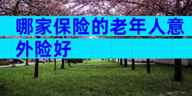 哪家保险的老年人意外险好