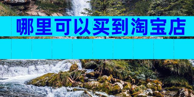 哪里可以买到淘宝店