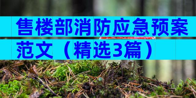 售楼部消防应急预案范文（精选3篇）