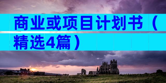 商业或项目计划书（精选4篇）