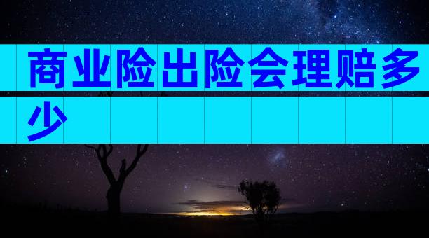 商业险出险会理赔多少