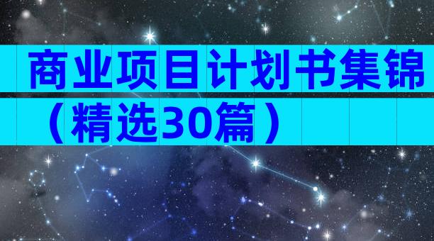 商业项目计划书集锦（精选30篇）