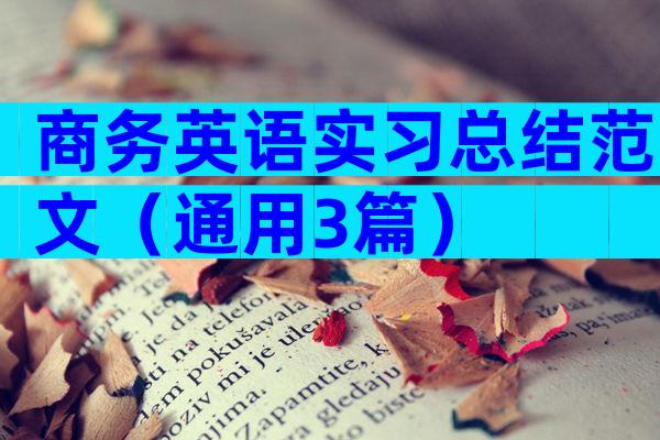 商务英语实习总结范文（通用3篇）