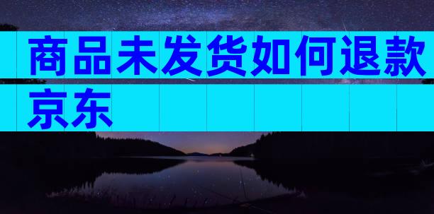 商品未发货如何退款京东