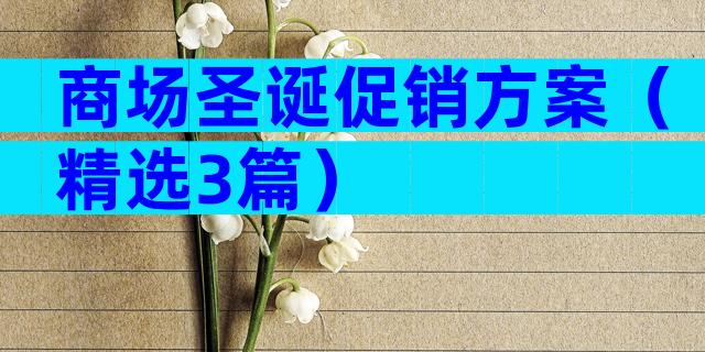 商场圣诞促销方案（精选3篇）