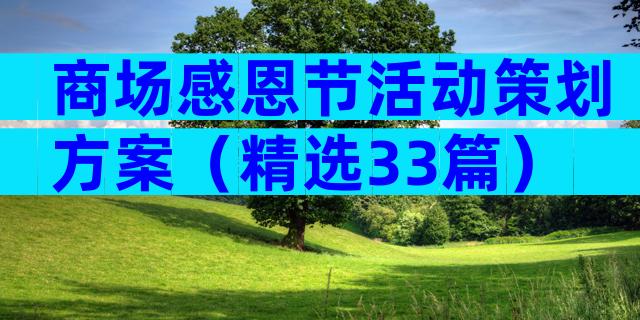 商场感恩节活动策划方案（精选33篇）