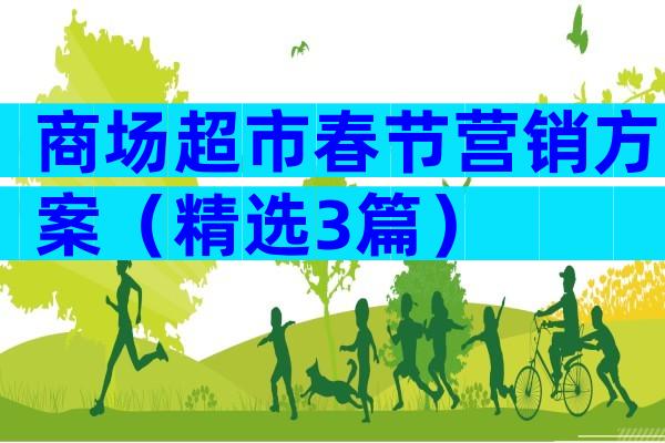商场超市春节营销方案（精选3篇）