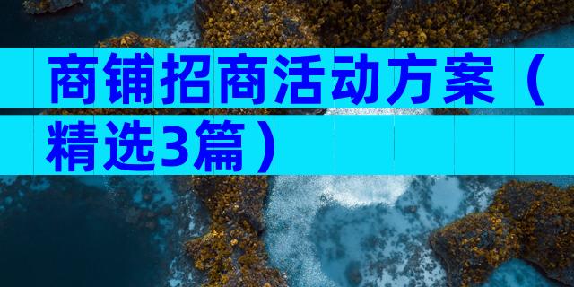 商铺招商活动方案（精选3篇）