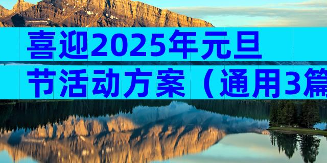 喜迎2025年元旦节活动方案（通用3篇）