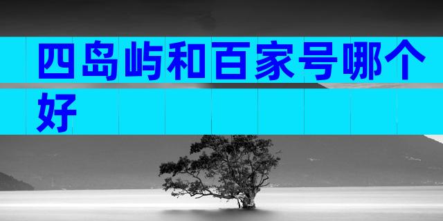 四岛屿和百家号哪个好