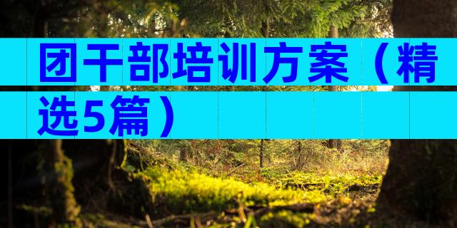 团干部培训方案（精选5篇）