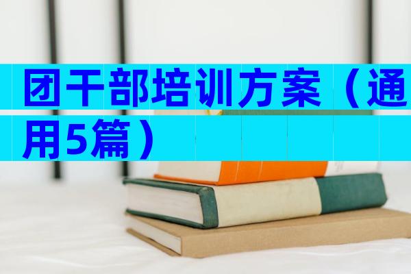 团干部培训方案（通用5篇）