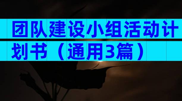团队建设小组活动计划书（通用3篇）