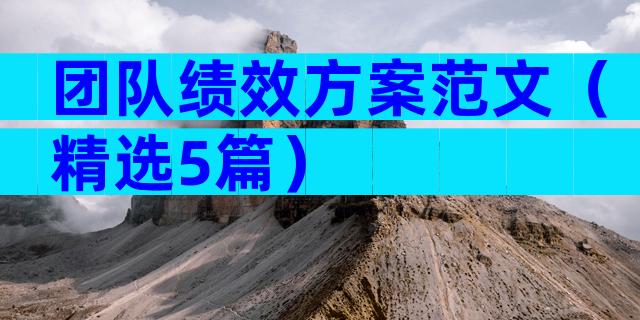 团队绩效方案范文（精选5篇）