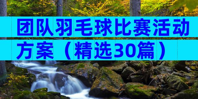 团队羽毛球比赛活动方案（精选30篇）