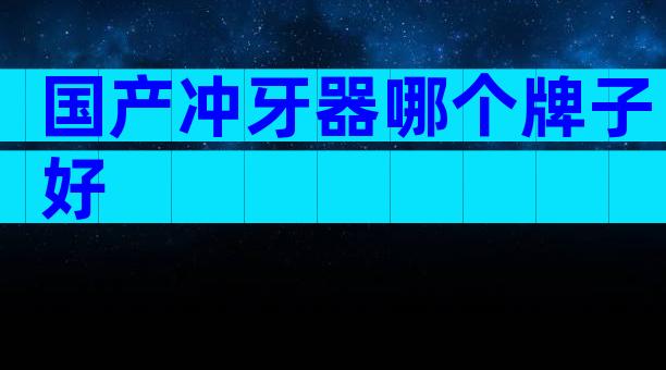 国产冲牙器哪个牌子好