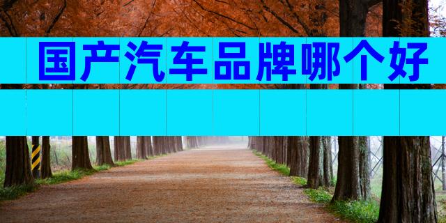 国产汽车品牌哪个好