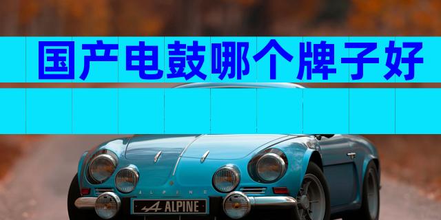 国产电鼓哪个牌子好