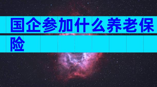 国企参加什么养老保险