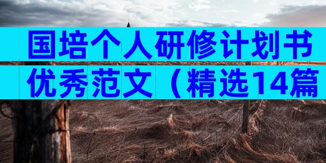 国培个人研修计划书优秀范文（精选14篇）