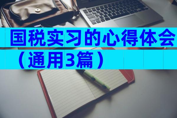 国税实习的心得体会（通用3篇）