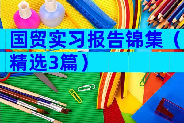 国贸实习报告锦集（精选3篇）
