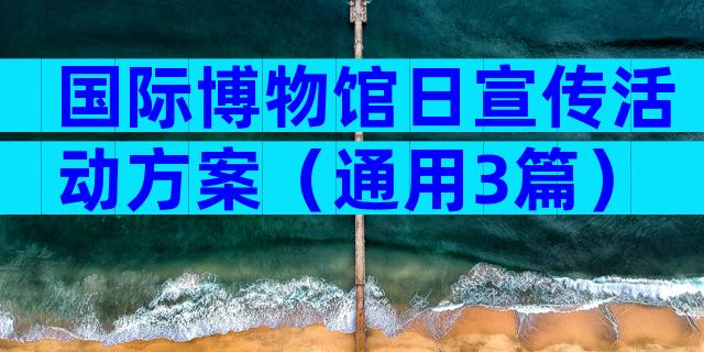 国际博物馆日宣传活动方案（通用3篇）