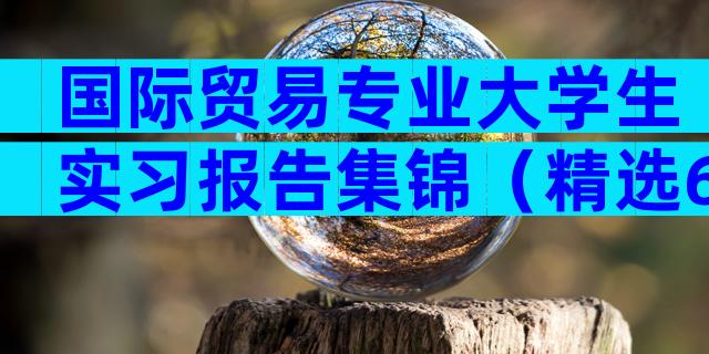 国际贸易专业大学生实习报告集锦（精选6篇）