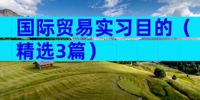 国际贸易实习目的（精选3篇）