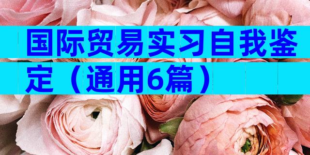 国际贸易实习自我鉴定（通用6篇）