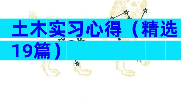土木实习心得（精选19篇）