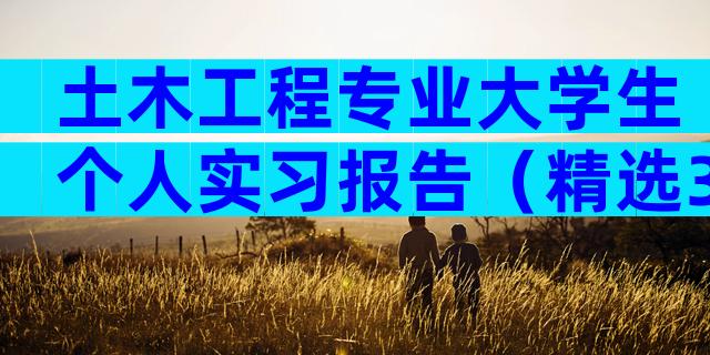 土木工程专业大学生个人实习报告（精选30篇）