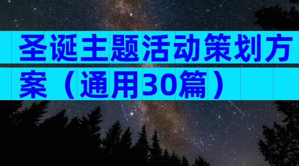 圣诞主题活动策划方案（通用30篇）