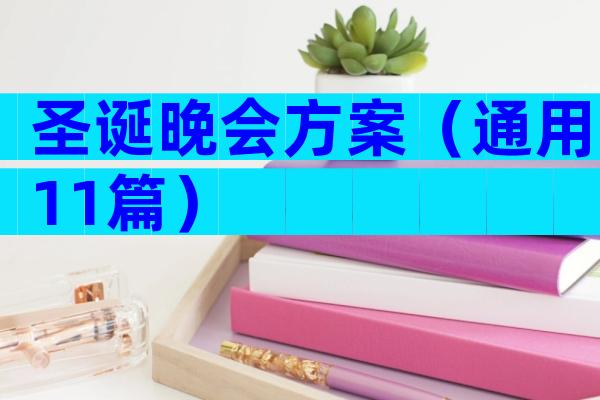 圣诞晚会方案（通用11篇）