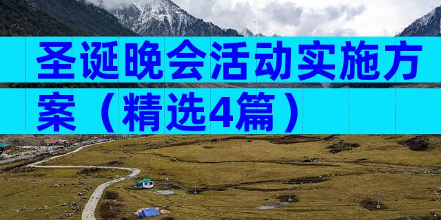 圣诞晚会活动实施方案（精选4篇）