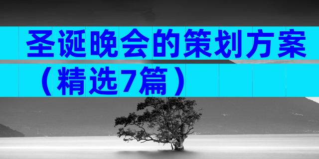 圣诞晚会的策划方案（精选7篇）