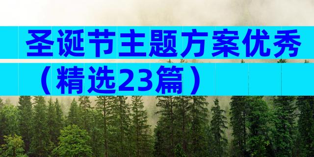 圣诞节主题方案优秀（精选23篇）